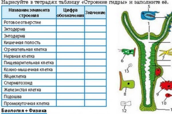 Оригинальная ссылка на магазин кракен