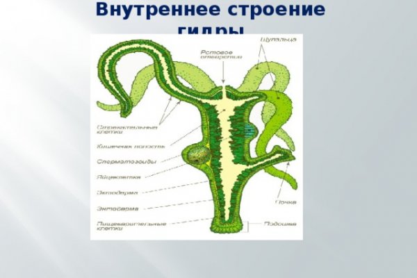 Кракен ссылка онион зеркало